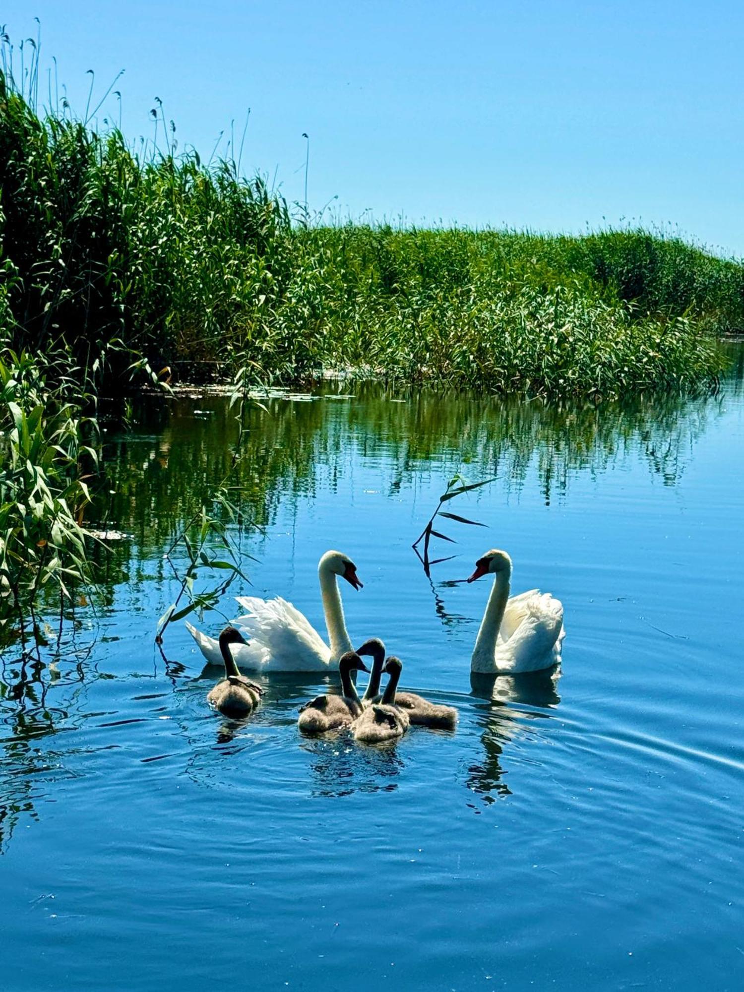 Danube Delta View Hotel Dunavăţu de Jos Exterior foto